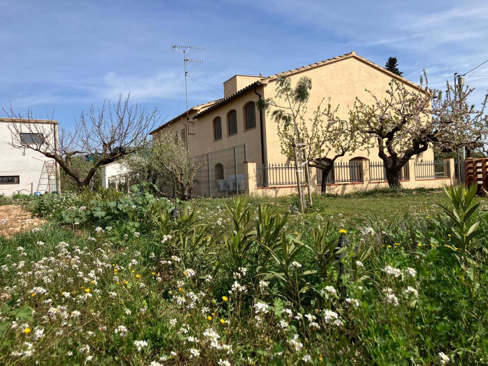 Apartment With Private Pool And Garden San Martin Sarroca Luaran gambar