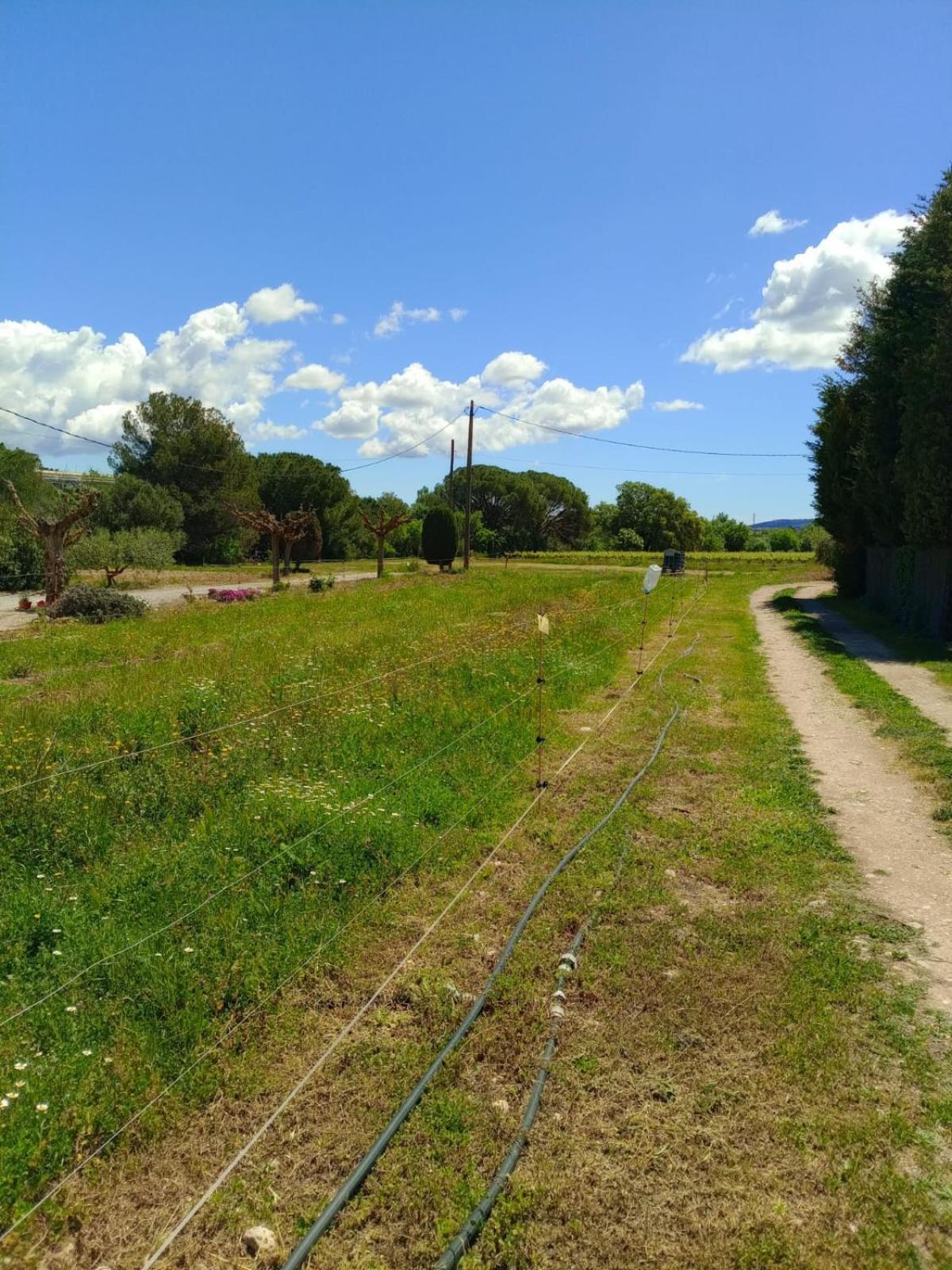 Apartment With Private Pool And Garden San Martin Sarroca Luaran gambar